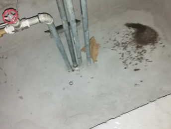 天水卫生间测漏水价格明细