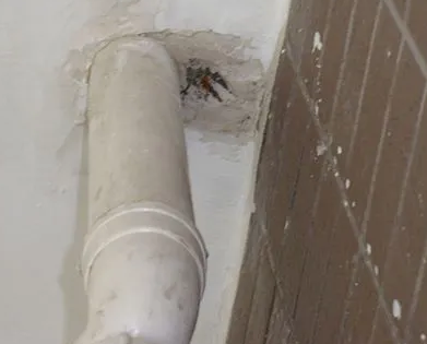 天水漏水检测哪家好